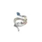 Ring 17