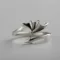 Ring 20